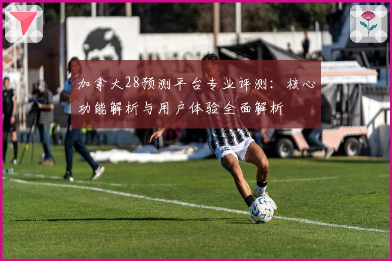 加拿大28预测平台专业评测：核心功能解析与用户体验全面解析