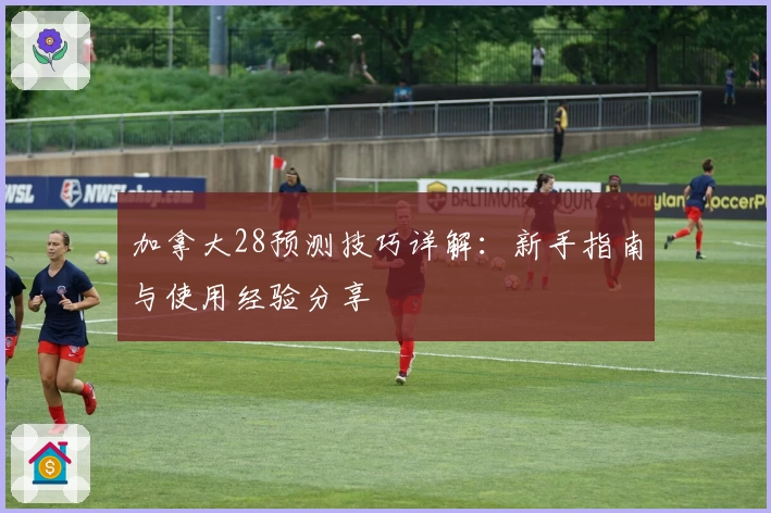 加拿大28预测技巧详解:新手指南与使用经验分享