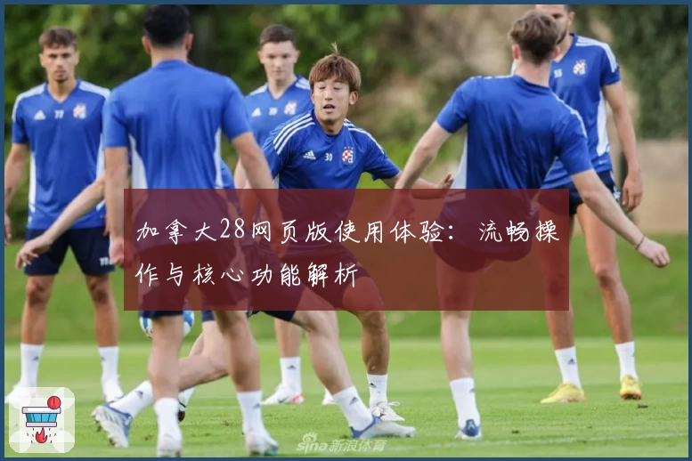 加拿大28网页版使用体验：流畅操作与核心功能解析