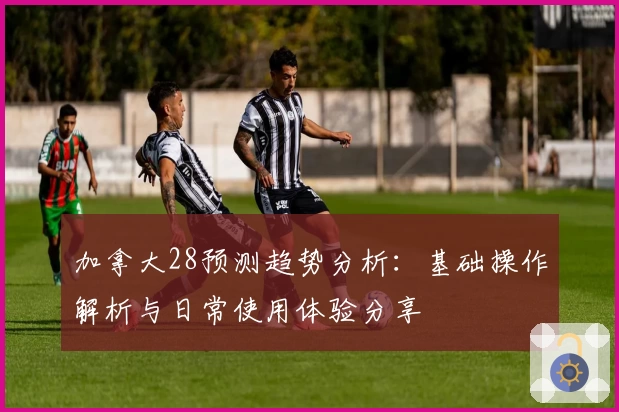 加拿大28预测趋势分析：基础操作解析与日常使用体验分享