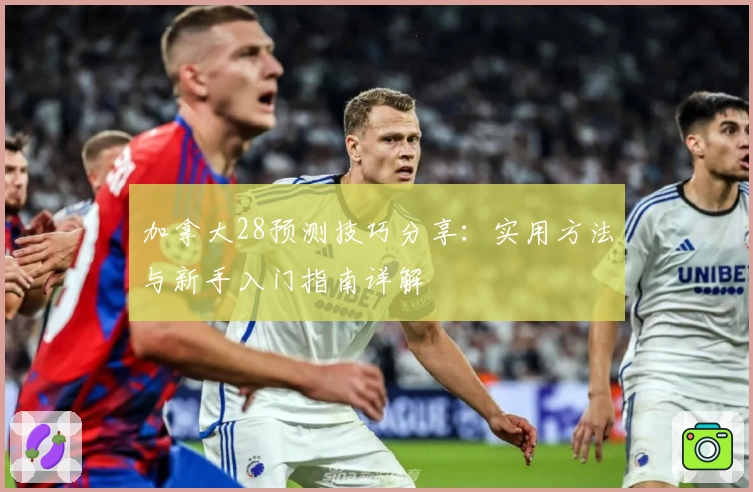 加拿大28预测技巧分享：实用方法与新手入门指南详解