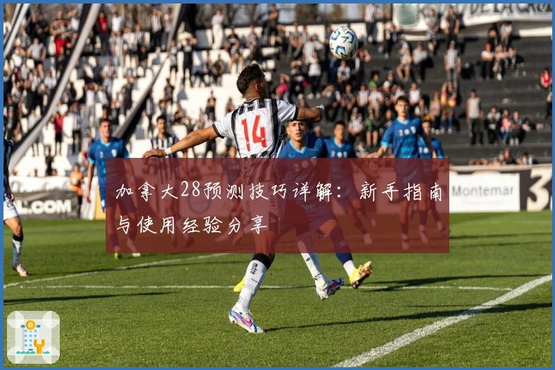加拿大28预测技巧详解：新手指南与使用经验分享