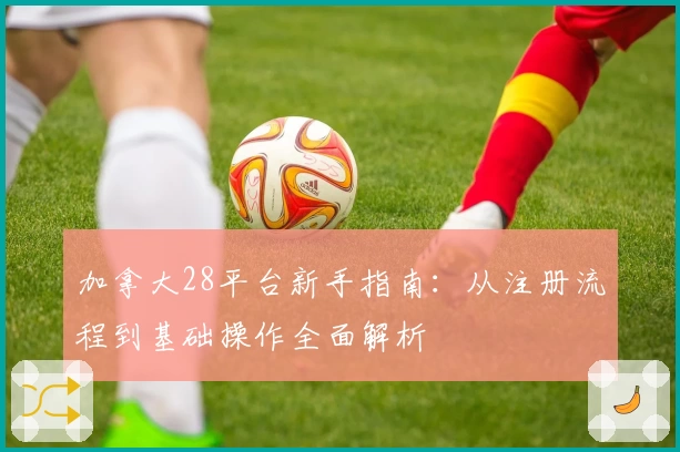 加拿大28平台新手指南：从注册流程到基础操作全面解析