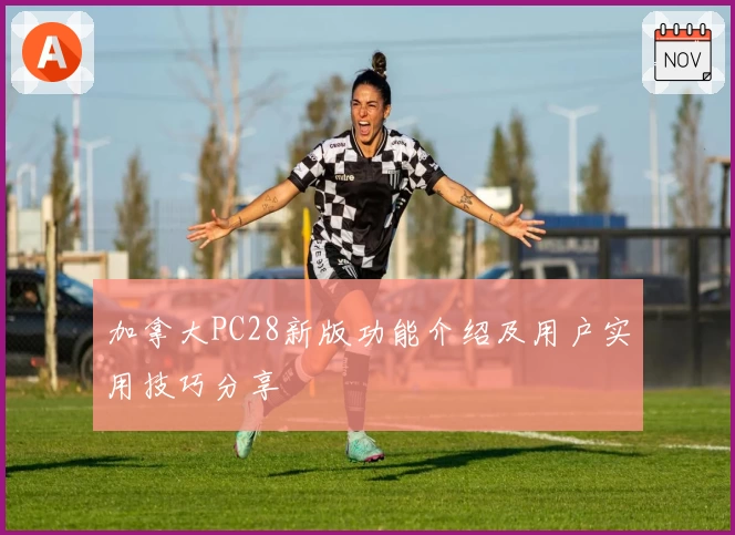 加拿大PC28新版功能介绍及用户实用技巧分享