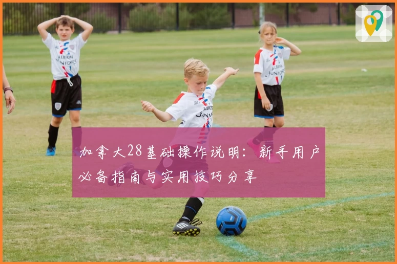 加拿大28基础操作说明：新手用户必备指南与实用技巧分享