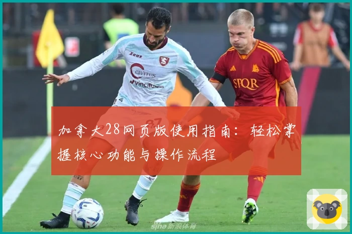 加拿大28网页版使用指南：轻松掌握核心功能与操作流程