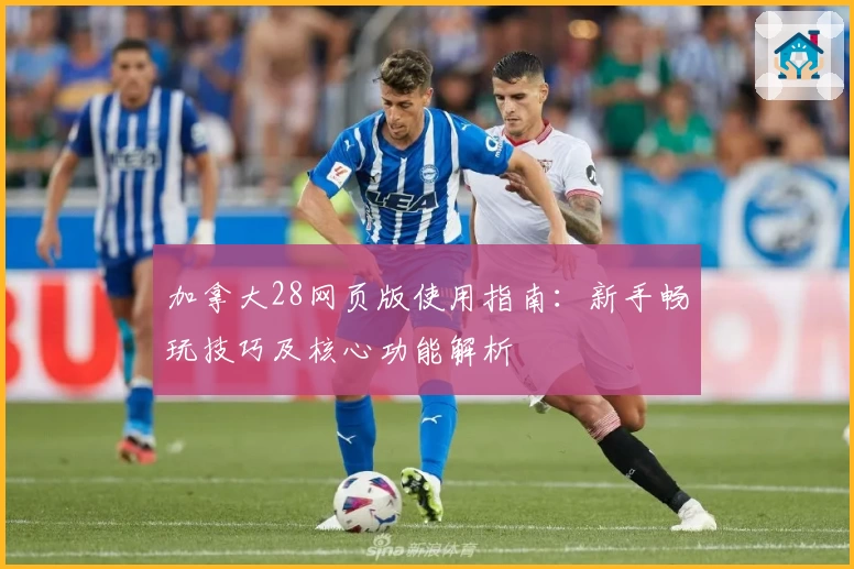 加拿大28网页版使用指南：新手畅玩技巧及核心功能解析