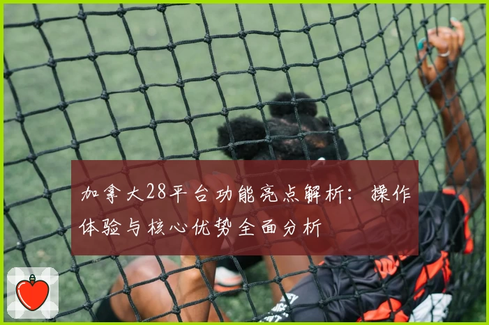 加拿大28平台功能亮点解析：操作体验与核心优势全面分析