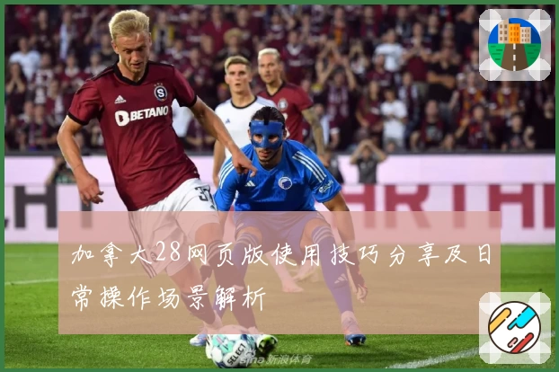 加拿大28网页版使用技巧分享及日常操作场景解析