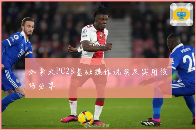 加拿大PC28基础操作说明及实用技巧分享