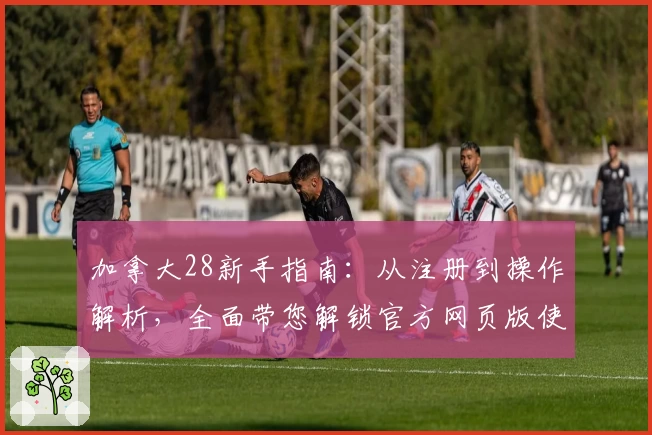 加拿大28新手指南：从注册到操作解析，全面带您解锁官方网页版使用技巧